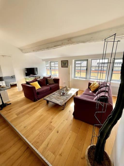 Le Loft Verdun Exposition Sud Emplacement 80M2 Каркассонн Екстер'єр фото